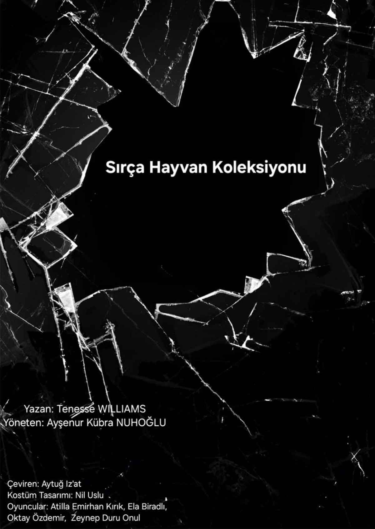 Bağcılar Hikmet Barutçugil Güzel Sanatlar Lisesi ''Sırça Hayvan Koleksiyonu''