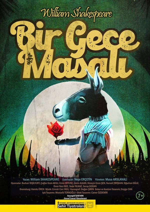 Bir Gece Masalı