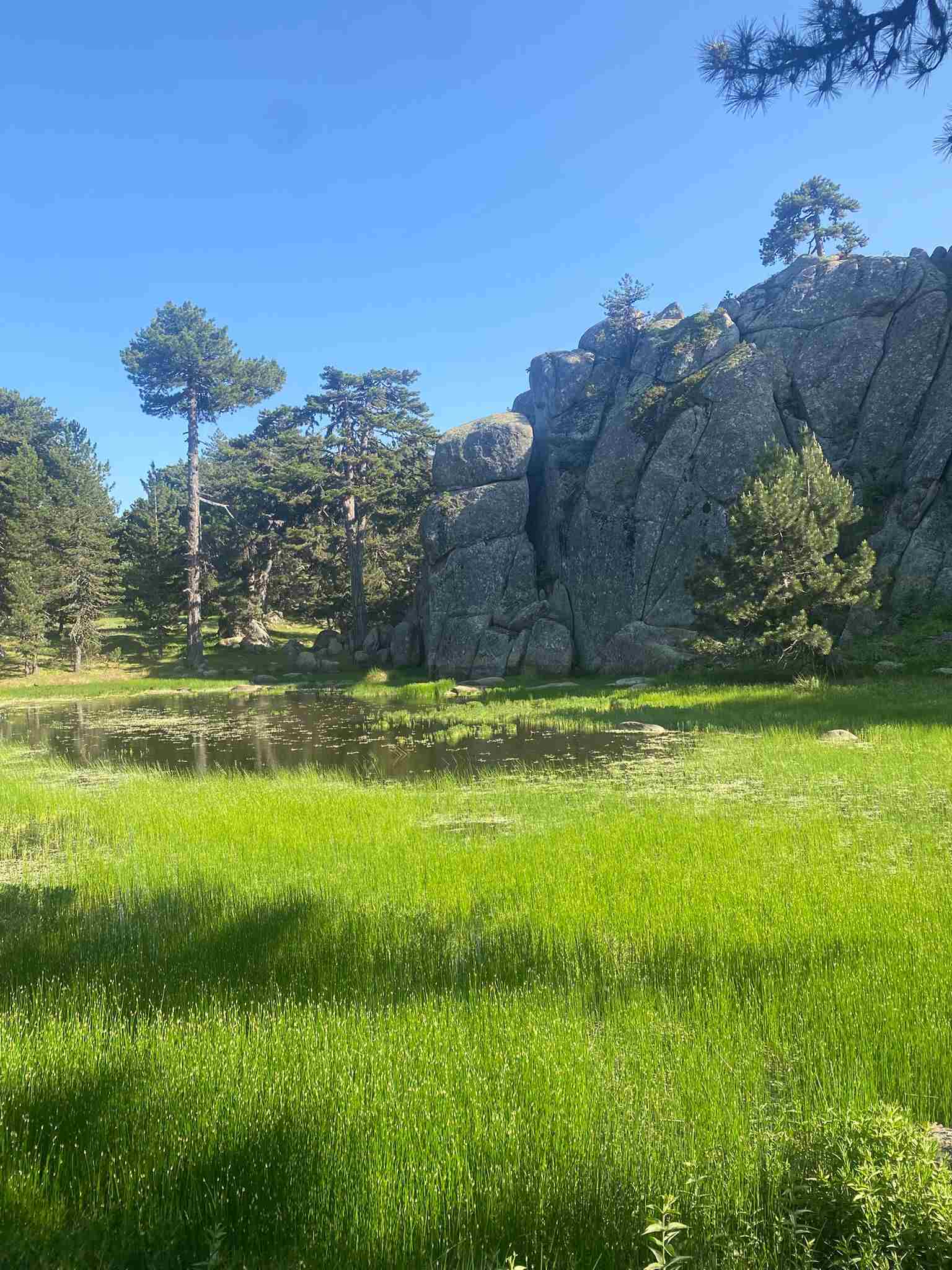Emet Yenice Krater Gölü